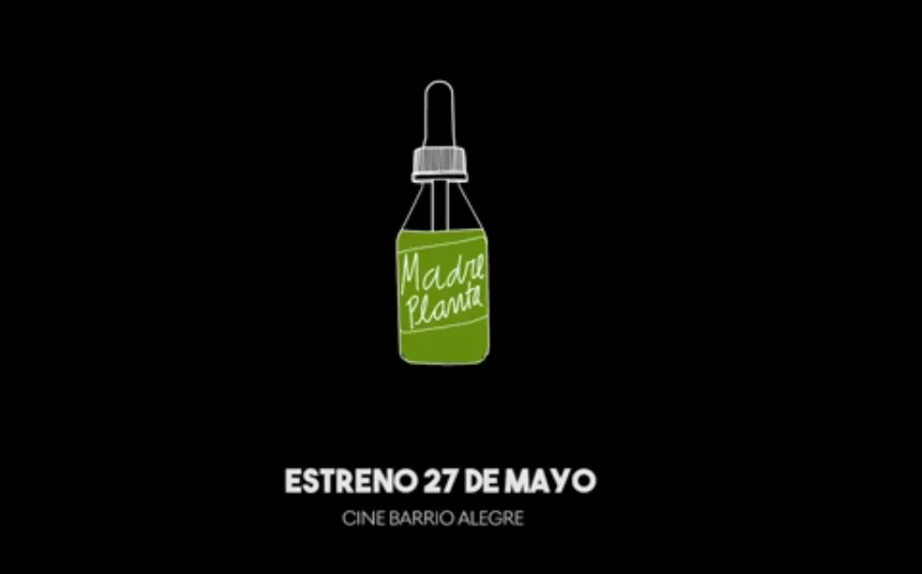 madre planta