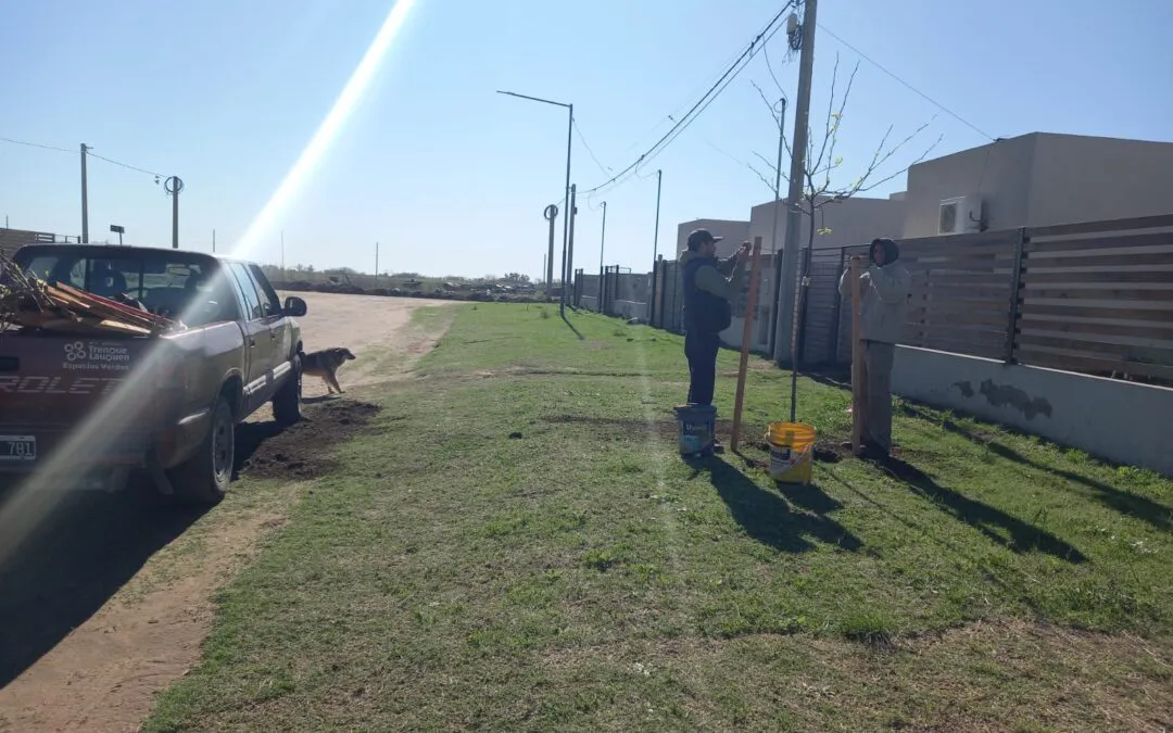 Forestacion-de-vereda-2-1080x675