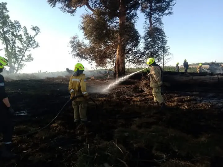 FB_IMG_1732459797510