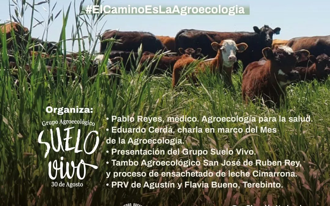 suelo vivo