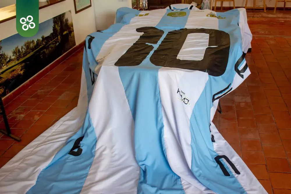 camiseta