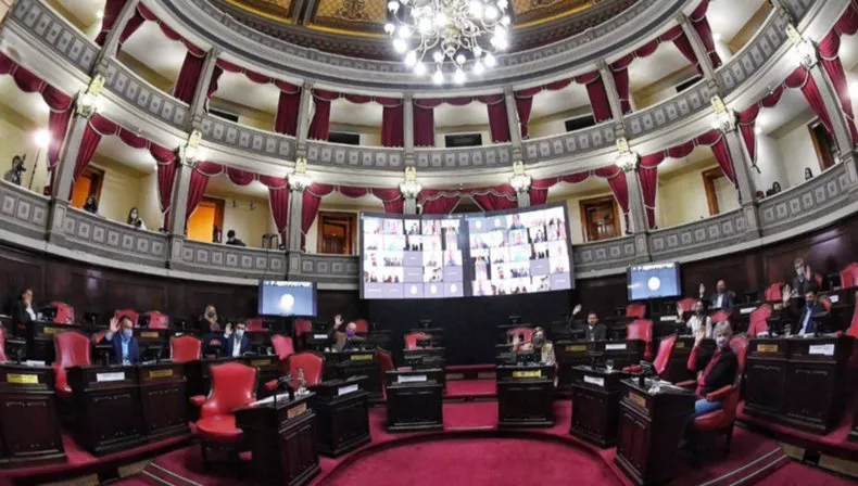 senado