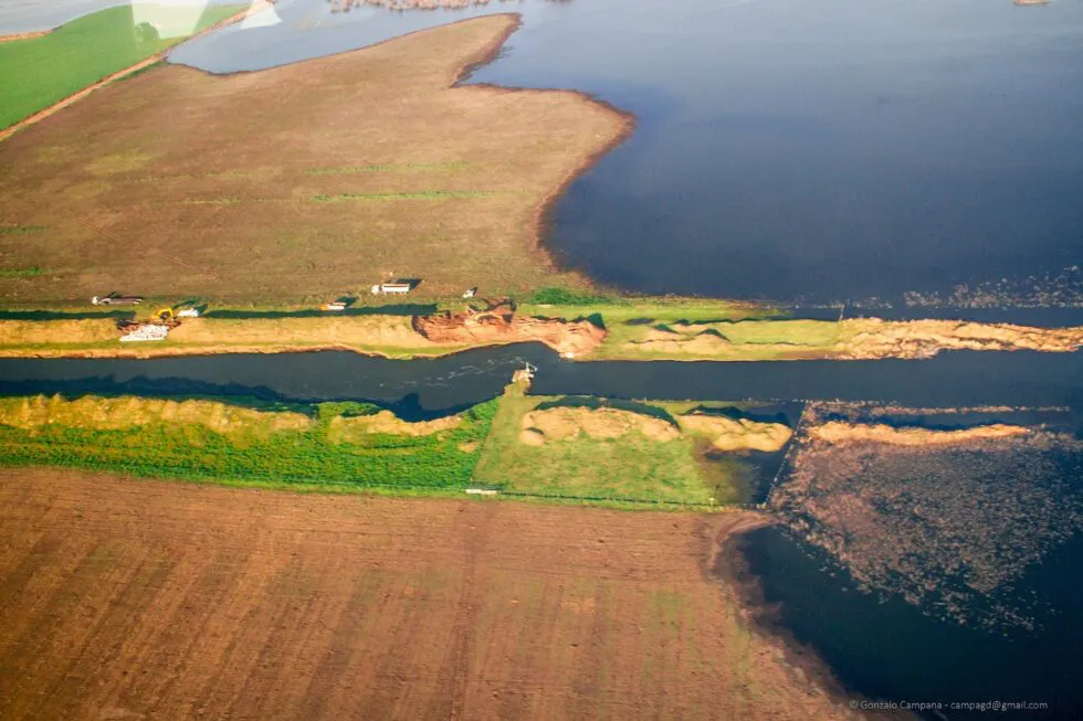 Comite-de-Cuenca-1-5-980x653