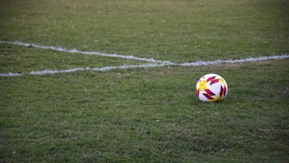 pelota