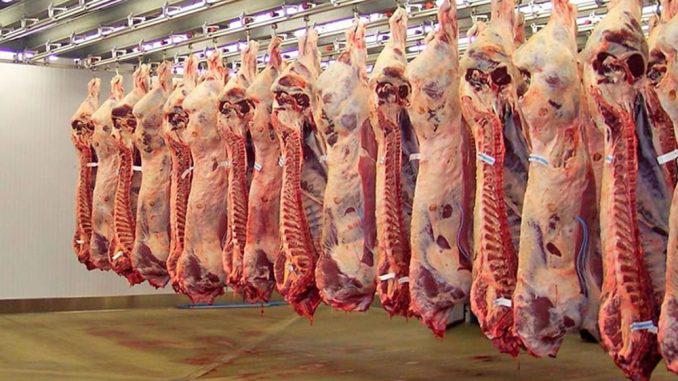 carne