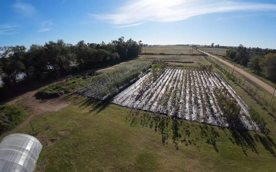 Vivero-municipal-1-1080x675