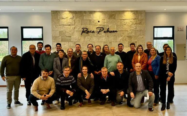 Intendnetes radicales