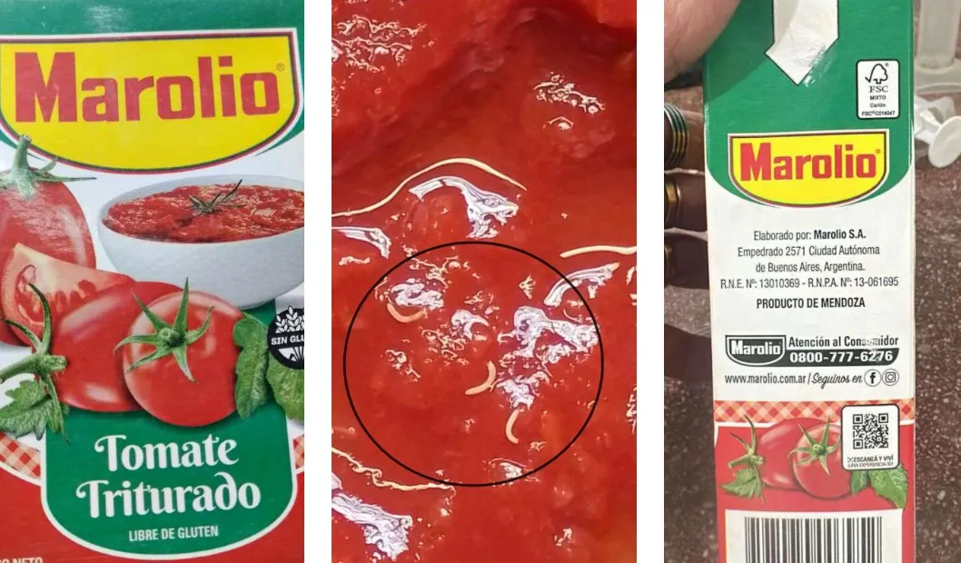 tomate-marolio-gusano-