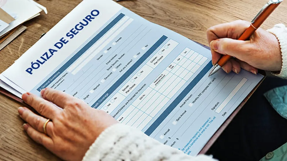 seguro-rs