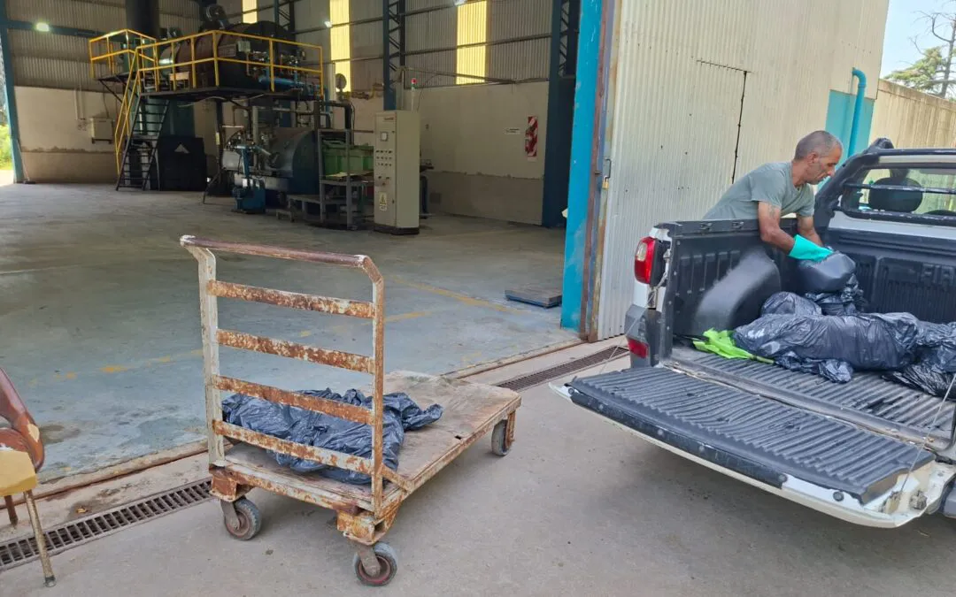 Triquinosis-1-2-1080x675