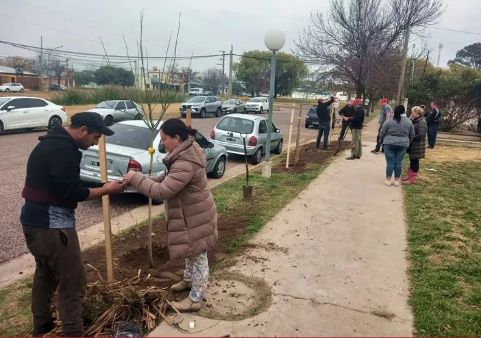 Plantacion-de-arboles-1-1