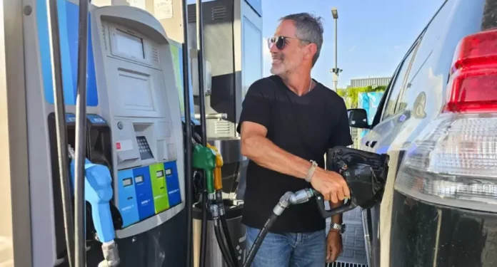 autodespacho-696x375