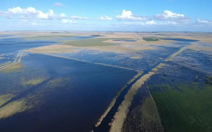 inundacion-BB-campos--696x436