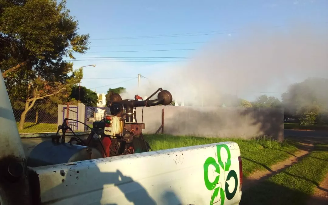 Tareas fumigación en barrios de la plata urbana